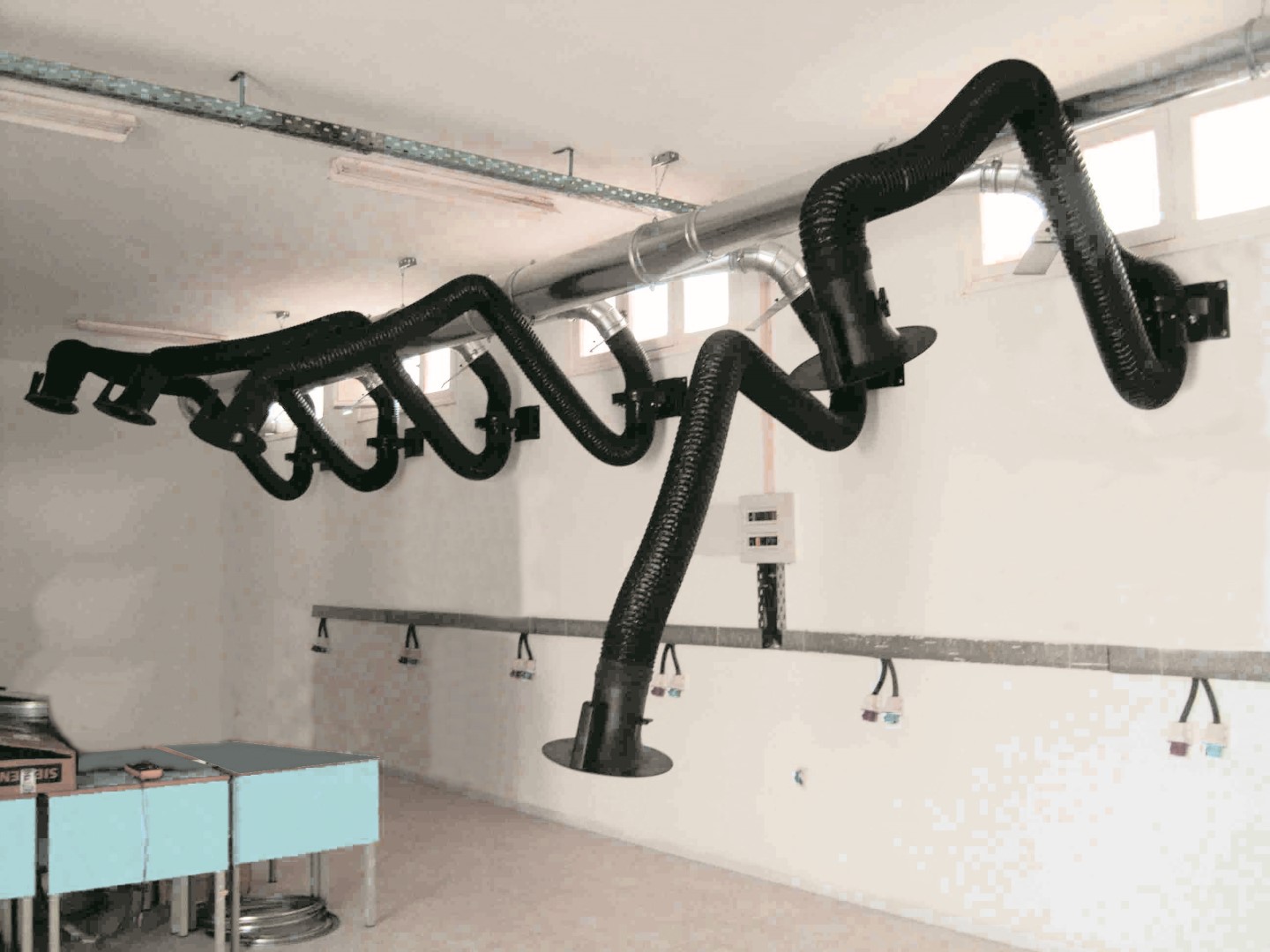 Dynaflex product image 5