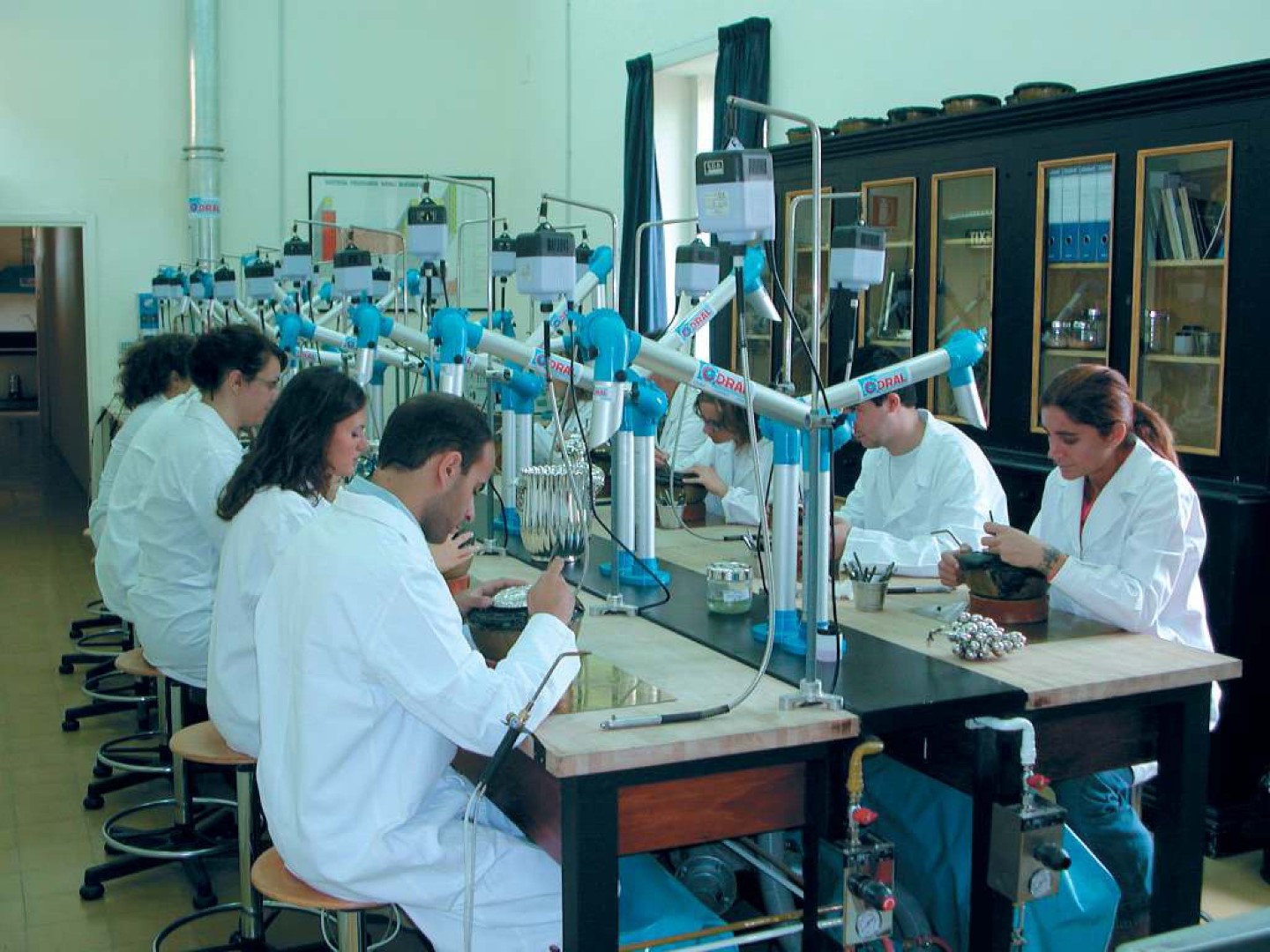 Probis product image 3
